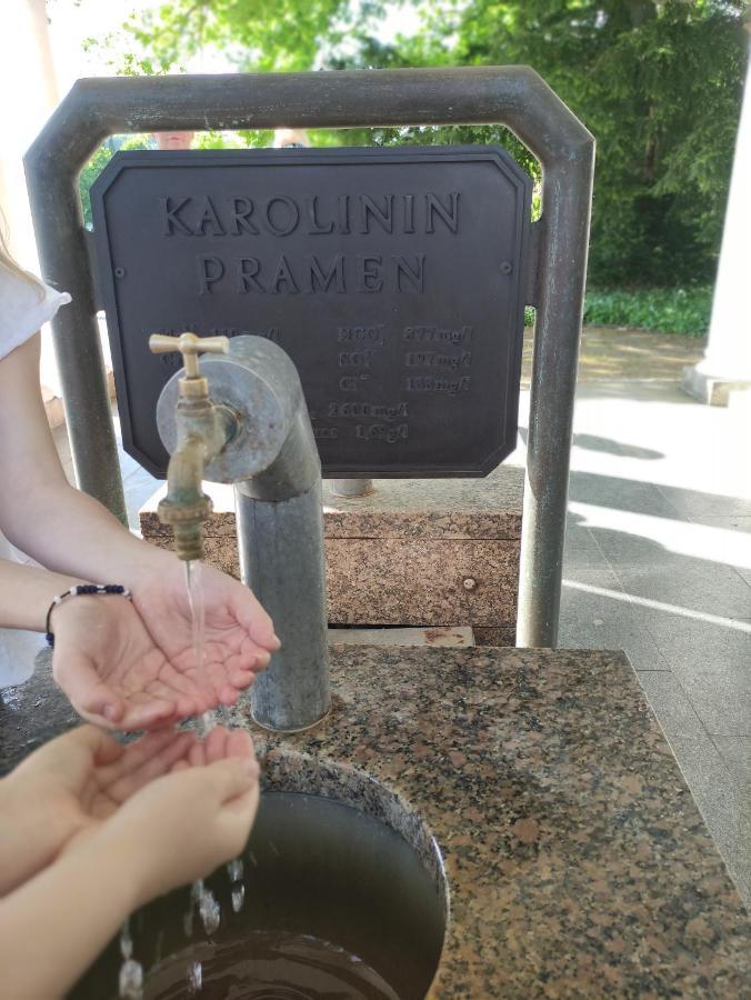 Apartman Friedrichsruh Lejlighed Mariánské Lázně Eksteriør billede